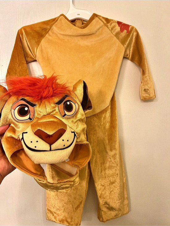 Other - Halloween Lion Costume
